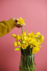 bouquet of yellow tulips in a vase