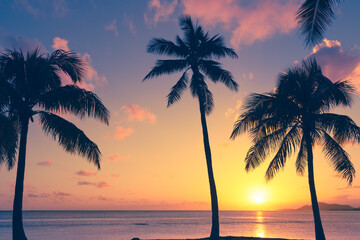 Beautiful tropical palm trees beach sunset background 