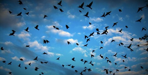 Con los brazos abiertos