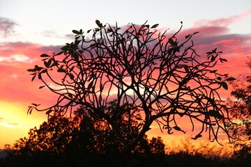 Atardecer a contra luz