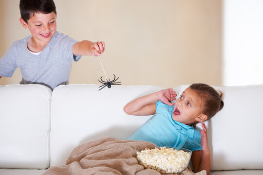 Gotcha. Mischievous young boy scaring his little sister at Halloween with a rubber spider.