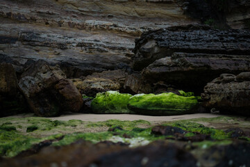 Bright green algae coated seaside rock by cliff edge on New South Wales South Coast in Australia.