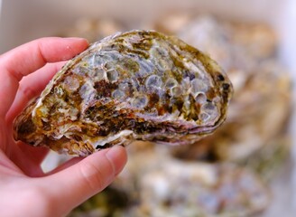 殻付き牡蠣を持った人