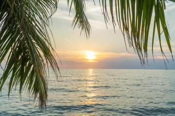 Fototapeta na wymiar Sunset with beautiful sea and palm tree leaf