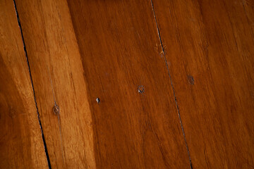 The hardwood texture background