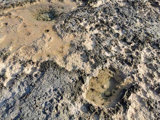 The coast of the Mediterranean Sea, clear water, long-hardened lava, in the recesses of which there is sea water. Background. It looks like an alien landscape.