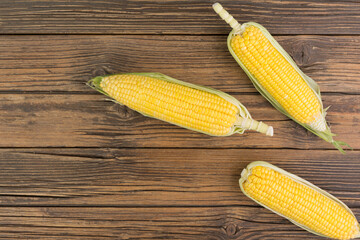 Fresh corn on the cob on a rustic wooden table - top view