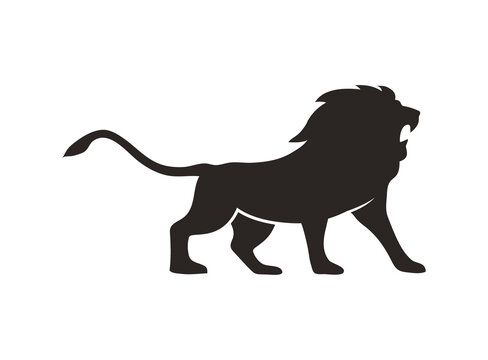 lion silhouette logo vector image