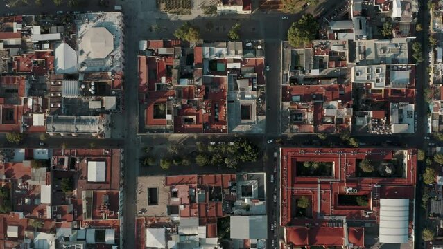 Multiple cars slalom among parked vehicles in Mexico's Oaxaca city between the city's linear streets. Top down drone pedestal shot