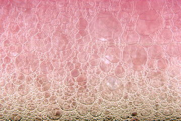 Pink bubbles macro background