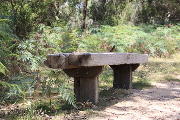 Rustic wooden bench seat in the Cranbourne Botanic Gardens, Melbourne, Australia.
