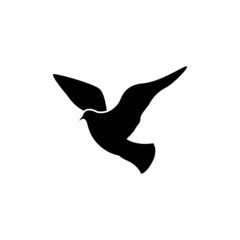 bird shilouette icon design vector