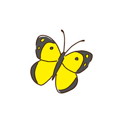 モンキチョウ　手描き風