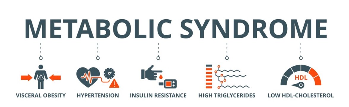 Symptoms Of Metabolic Syndrome Banner Web Icon Vector Illustration Concept With An Icon Of Hypertension, Insulin Resistance, High Triglycerides, Low HDL-Cholesterol, Visceral Obesity