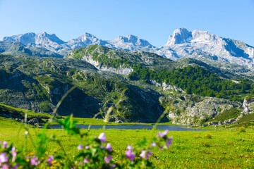 Naklejka na ściany i meble Serene landscape with one of Lakes of Covadonga and mountain range in summer day