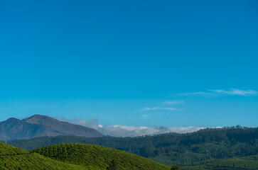 Fototapeta na wymiar Summer landscape in mountains and blue sky, Munnar nature scenery 