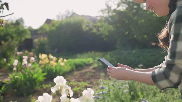 A smiling young woman in a straw hat takes photos of blooming irises on her smartphone. Outdoor. Summer garden.