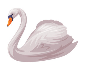 White Swan as Finland Symbol and Attribute Vector Illustration