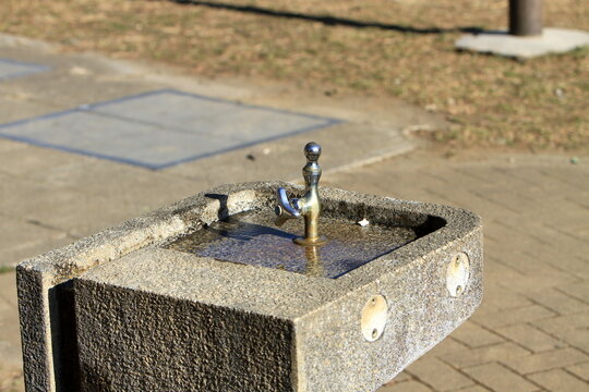 公園の水飲み場