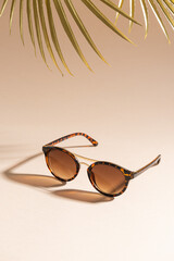 Trendy sunglasses still life in minimal stile. Womens sunglasses on beige background with golden...