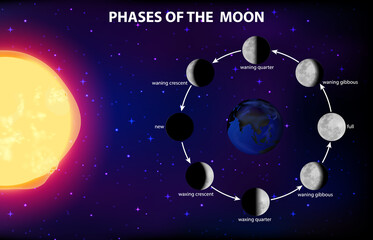 Obraz na płótnie Canvas Phases of the moon for science education