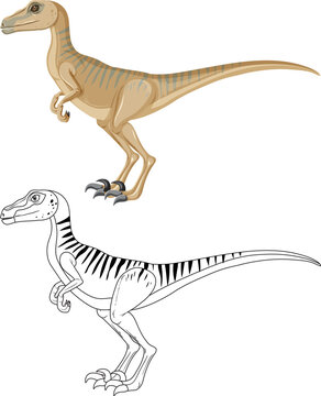 Velociraptor dinosaur with its doodle outline on white background