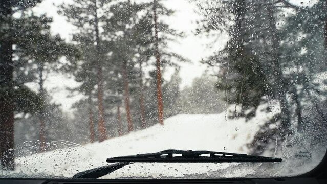 Off-Roading Through Snowy Winter Rocky Mountains Pine Tree Forest As Seen From Inside Suv Through Windshield.