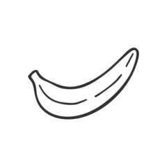 Single hand drawn banana. In doodle style, black outline isolated on white background. Cute element for card, social media banner, sticker, print, decoration kids playroom. Vector illustration