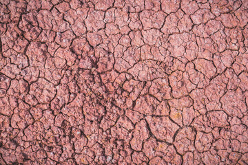 red dry soil for background.