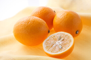 マイヤーレモン　　メイヤーレモン