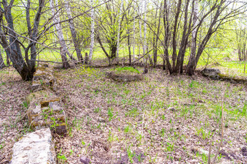 Fototapeta premium remains of old structure overgrown with forest and grass - ruins of foundation of an abandoned and destroyed structure
