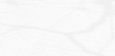 Abstract blurred background. reflection of leaves and gray light lines. reflected on the white concrete wall.