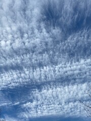 Obraz premium clouds in the sky cutout