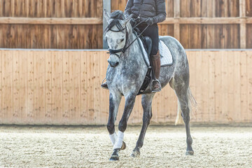 Focus on a grey dressage horse ridden by an equestrian in a riding hall