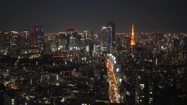 東京都心の夜景
