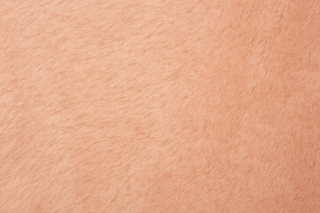 Textur Fell und Pelz.