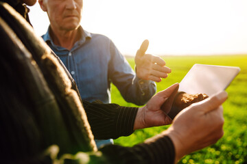Farmers discuss agricultural issues on young wheat in the field. Farmers with tablet in the field....