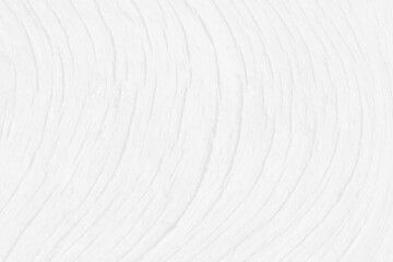 wood grain cross section on a white background.