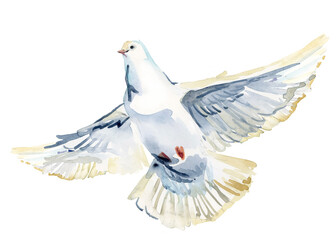 Flying white dove watercolor illustration. white pigeon isolated on white. - 489814121