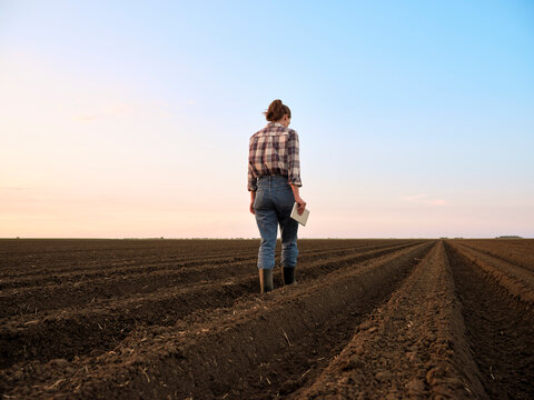 Farmer examining plowed field at sunset