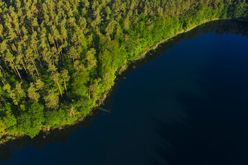 Aerial view of forested shore of Giesenschlagsee lake in summer