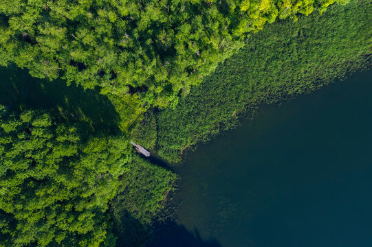 Aerial view of forested shore of Grosser Linowsee lake in summer