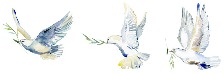 Flying white dove and olive branch watercolor illustration. Symbol of peace. white Pigeon isolated on white  - obrazy, fototapety, plakaty