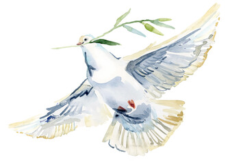 Flying white dove and olive branch watercolor illustration. Symbol of peace. white Pigeon isolated on white 