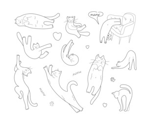 A set of funny cat poses in doodle style. Cute pets. Vector illustration isolated on a white background