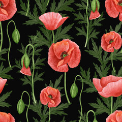 Poppy flower seamless pattern. Watercolor hand drawn poppy flowers wallpaper, fabric design, rustic botanical background