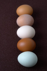 卵いろいろ