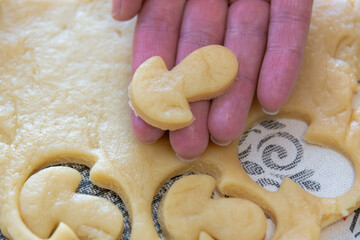 Fototapeta na wymiar Cooking cookies at home from dough.
