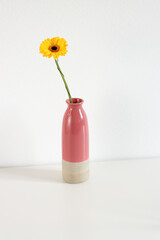 Vase with bight flower on white background, copyspace, Concept minimal decoration in interior at home, vertical.