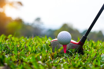 Golf clubs and golf balls on a green lawn in a beautiful golf course with morning sunshine. golf...